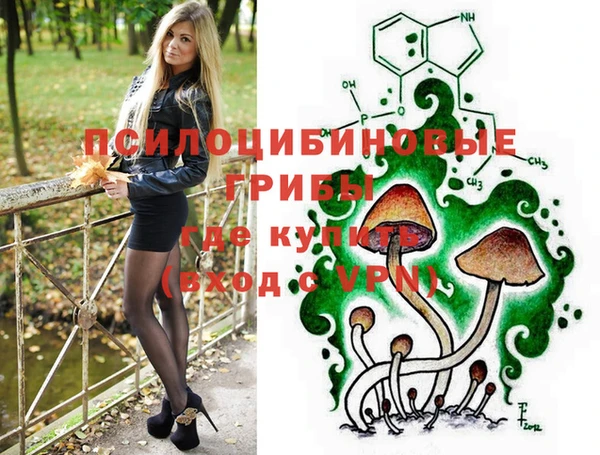 спайс Нягань