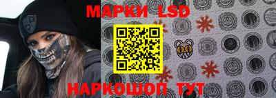 mdma Гатчина