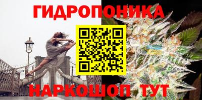 mdma Гатчина
