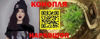 mdma Гатчина