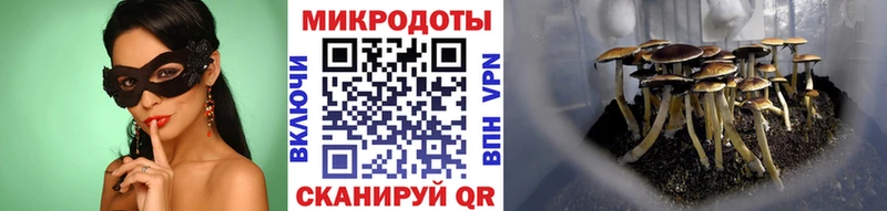 Псилоцибиновые грибы GOLDEN TEACHER  где можно купить   Йошкар-Ола 