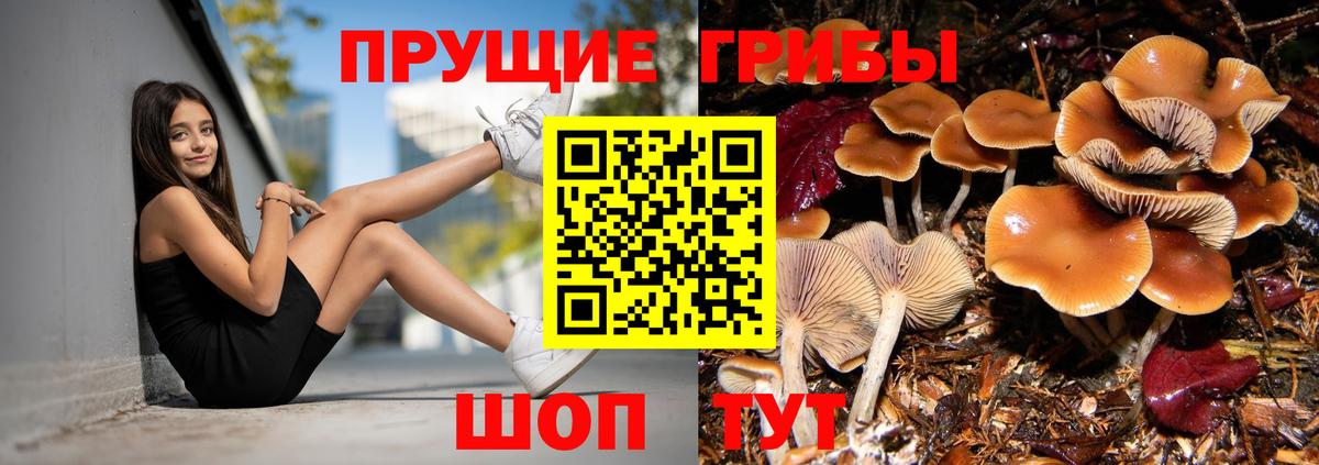 Галлюциногенные грибы мухоморы Йошкар-Ола