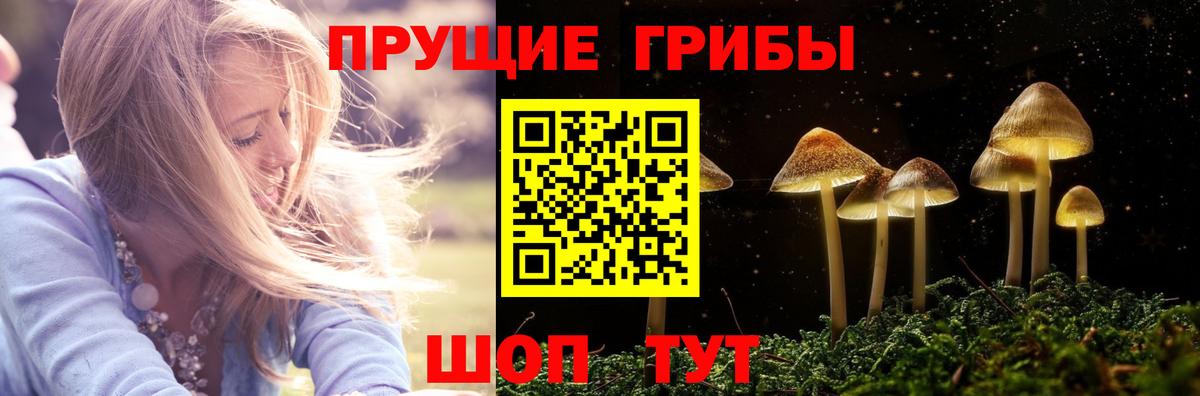 Псилоцибиновые грибы прущие грибы Йошкар-Ола
