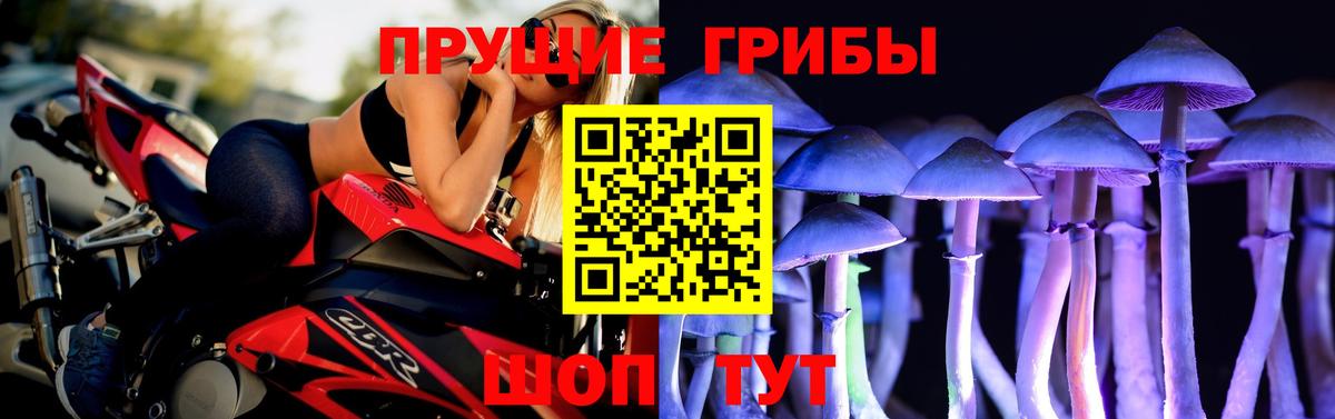Псилоцибиновые грибы прущие грибы  Псилоцибиновые грибы ЛСД  Йошкар-Ола 